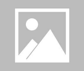 欧博娱乐-对德国杯重视的球队